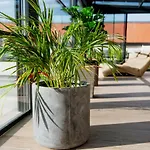 La Pergola & Prestige Panzio Guest house Kaposvar