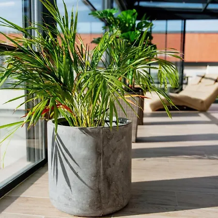 La Pergola & Prestige Panzio Гостевой дом Капошвар